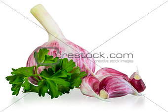 Fresh garlic and parsley on a white background