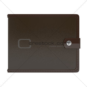 Money Wallet isolated on white
