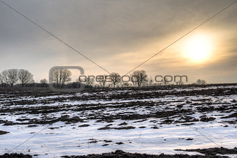 Sunrise over barren field