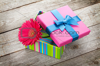 Purple gerbera flower in gift box