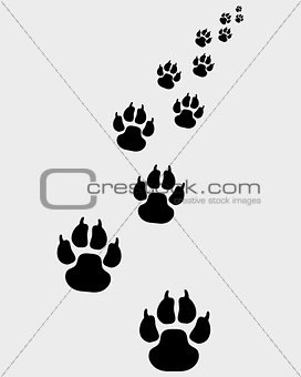 footprints of dogs 2