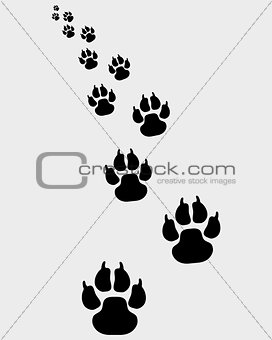 footprints of dogs 3