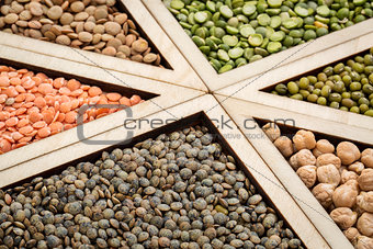 bean, lentil and pea abstract