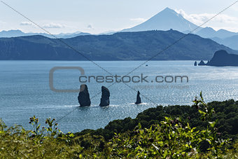 Nature of Kamchatka - view of the bay, rocks and volcano