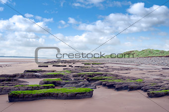 slimey green mud banks at Beal beach