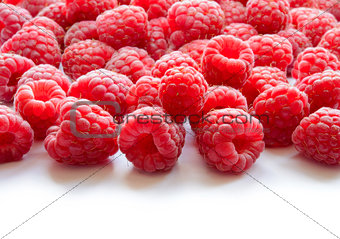 Beautiful Red Summer Background of Juicy Raspberries