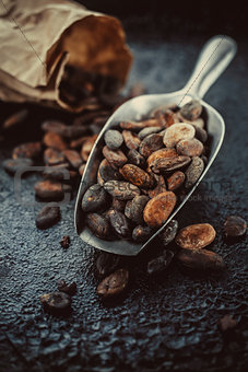 cocoa beans in a  scoop