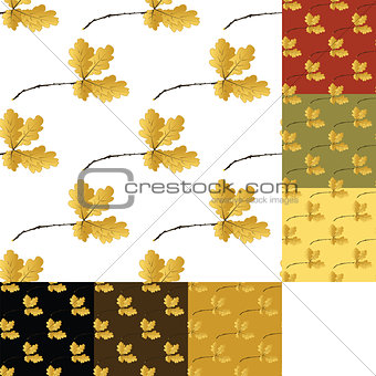 set of autumn seamless pattern