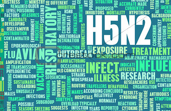 H5N2