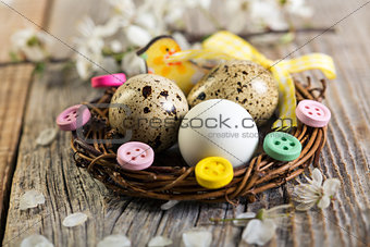 Easter nest with quail eggs.