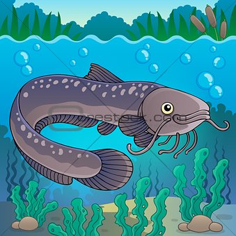 Freshwater fish topic image 2