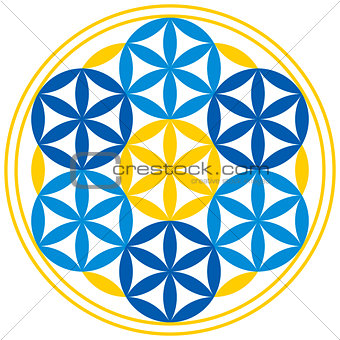 Flower of Life With Spheres