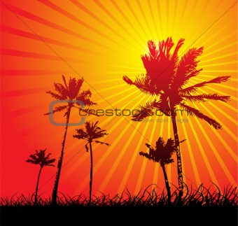 Vector landscape with trees, sun