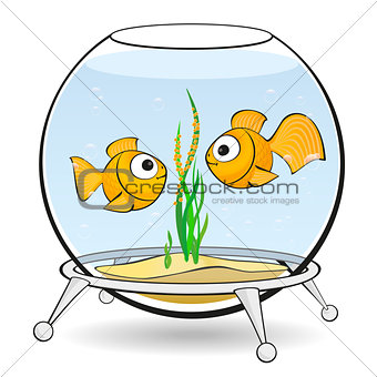 couple goldfish in an aquarium