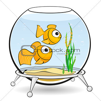 couple goldfish in an aquarium with caviar