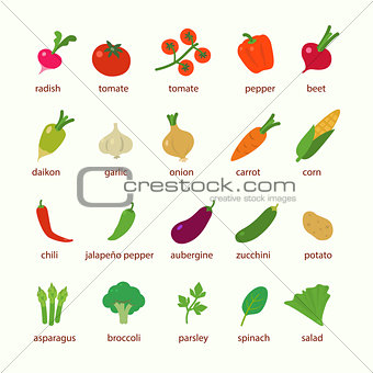 Flat design icon vegetables set
