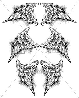 set of wings