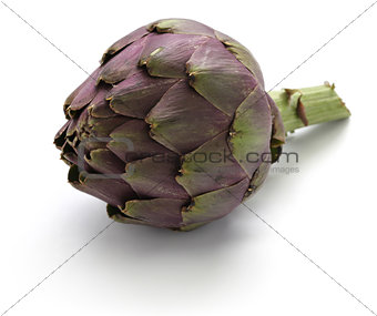purple globe artichoke
