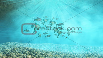 3D underwater background with shoal of fish