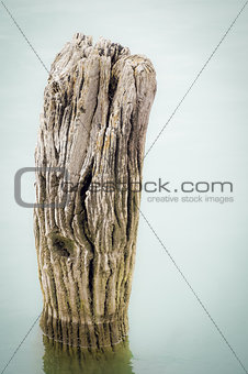 textured wood