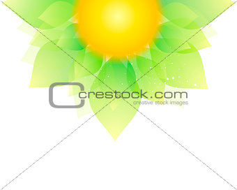 Flower in green and yellow