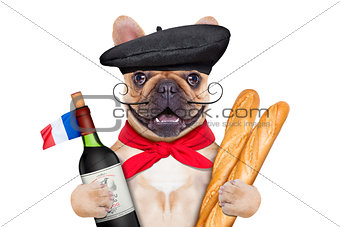 french wine dog