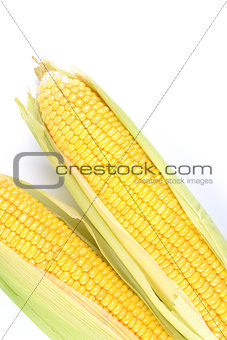 The Golden Corn