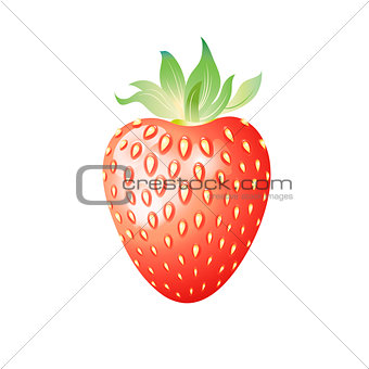 Delicious wild berry strawberry 