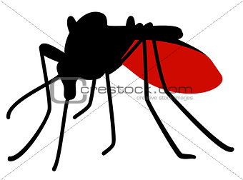 mosquito full of blood