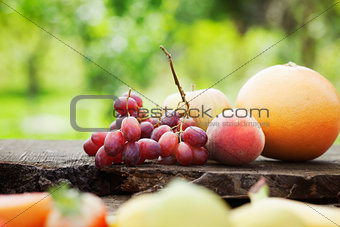 Fruit variety