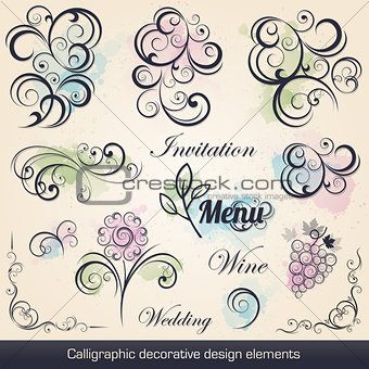 calligraphic decorative design elements