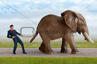 businessman trying to restrain an elephant