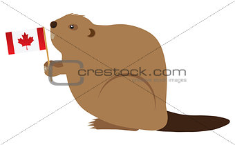 Canadian Beaver Color Illustration