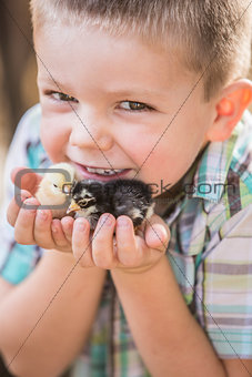 Cute Young Boy with Chicks