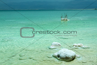 Beautiful coast of the Dead Sea .