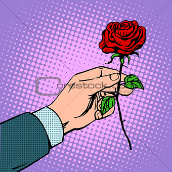 man gives flower rose