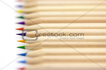 Row of colorful pencils macro on white 