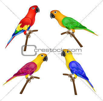 Set of beautiful colorful parrots isolated on white background- 