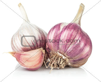 Fresh garlic in cut