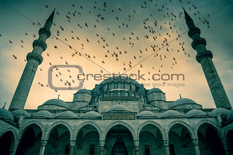 Blue Mosque against dramatic sky with birds