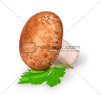 fresh champignons with parsley isolated on white background