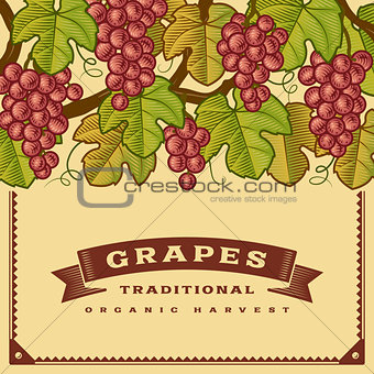 Retro grapes harvest card