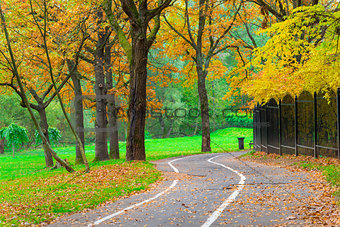 bicycle path in an empty yellow autumn park