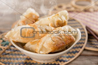 Famous Asian gourmet pan fried dumplings