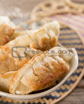 Famous Asian cuisine pan fried dumplings