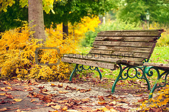 Autumnal landscape with wooden bench