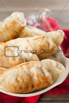 Pan fried dumplings