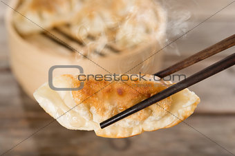 Chinese appetizer pan fried dumplings