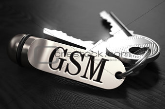 GSM Concept. Keys with Keyring.