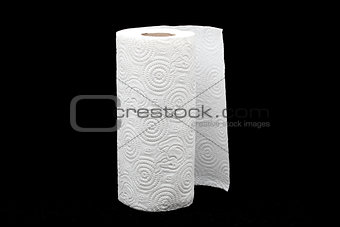 napkin roll